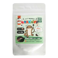 【カナヘビバイト】 カナヘビ向け人工フード（40g） コオロギとミズアブ粉末で食いつき◎ 活餌・冷凍餌以…