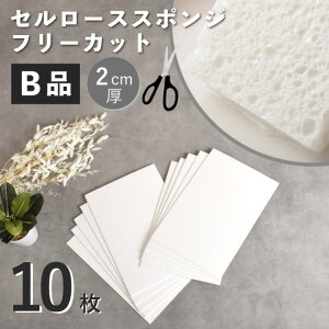 yX[p[SALE ő70%OFFz 󂠂 Z[XX|W NX  VRA (t[Jbg 20×30cm (1Z`A2Z`) Belmar A@ VR@ H TXeiu SDGs [ 