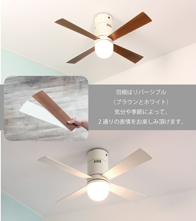 楽天市場】＼ポイント+10％☆楽天ﾓﾊﾞｲﾙ限定／ シーリングファンライト 