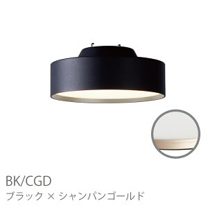 y4.5܂őΉz V[OCg F؊ Ɩ  CeA VƖ ԐڏƖ  x  Lb`  _ Vv Glow mini LED-ceiling lampy800lmz AW-0578E V 