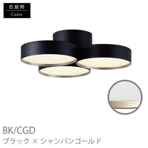 y8܂őΉz V[OCg  F R Ɩ  VƖ ԐڏƖ rO _CjO Q _ Vv phantom LED-ceiling lampy4000lmz AW-0579E V z