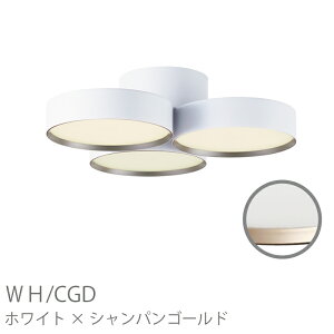 y8܂őΉz V[OCg  F R Ɩ  VƖ ԐڏƖ rO _CjO Q _ Vv phantom LED-ceiling lampy4000lmz AW-0579E V z