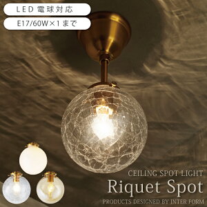 X|bgCg C^[tH KX  ԐڏƖ VƖ y_gv Ɩ 1 ledΉ _CjO JE^[ Lb`  LT-4306 AM/CR/WH Riquet Spot P[ X|bg V