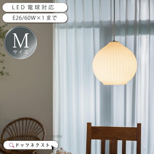 y_gCg C^[tH _CjO KX  Ɩ VƖ y_gv Ɩ 1 ledΉ JE^[ Lb`  CeA Pecoros yRX MTCY LT-4529 LT