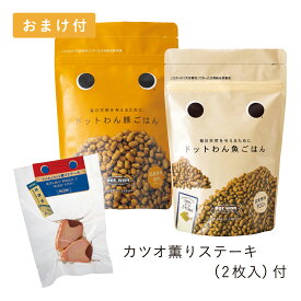 楽天市場 ドットわん セットの通販