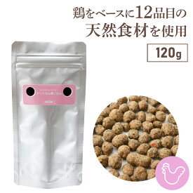 ドッグフード お試し 無添加 国産 犬用 手作り ごはん チキン おすすめ シニア ドットわん 鶏ごはん 120g 鶏 ごはん 総合栄養食 ドライフード 低温乾燥 全犬種 年齢対応 ドットわん