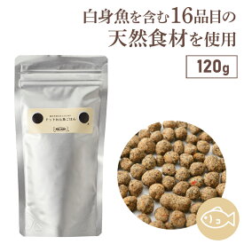 【店内全品ポイント10倍 楽天スーパーSALE期間中 9/4〜9/11】ドッグフード お試し 無添加 国産 犬用 手作り ごはん 魚 ごはん おすすめ シニア ドットわん 魚ごはん 120g ドットわん 魚 ごはん 総合栄養食 ドライフード 低温乾燥 全犬種 全年齢 対応