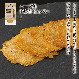 【店内全品ポイント10倍 楽天お買い物マラソン期間中 9/19〜9/24】ドットわん 犬 おやつ 無添加 国産 ドットわんの逸品 ハーブ鶏手焼きせんべい 6g ドッグフード 犬のおやつ せんべい 全犬種 全年齢 対応