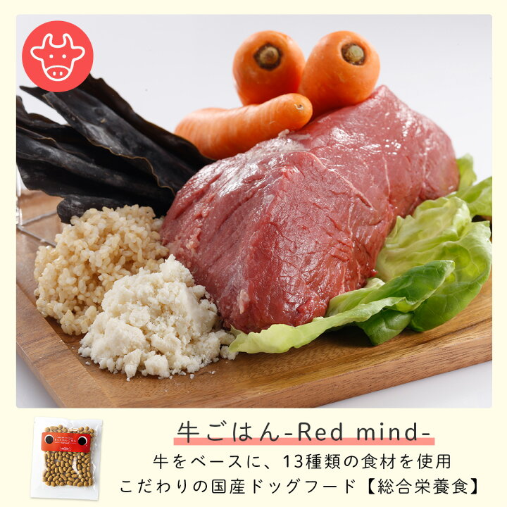 楽天市場】ドッグフード 着色料 保存料 香料 無添加 ドットわん はじめてセット 10点セット【ドットわん お試しセット フリーズドライ ジャーキー 野菜 ドライフード 国産 ナチュラル プレゼント 小粒 ドッグフード おためし シニア ギフト 誕生日 サンプル 国産 あす楽 ... 楽天市場】ドッグフード 着色料 保存料 香料 無添加 ドットわん はじめてセット 10点セット【ドットわん お試しセット フリーズドライ ジャーキー 野菜 ドライフード 国産 ナチュラル プレゼント 小粒 ドッグフード おためし シニア ギフト 誕生日 サンプル 国産 あす楽 ...