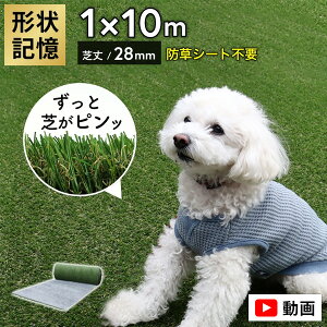 yr[Ttzy[J[FXz[^[t AIR lH 1m×10m [ Ő A lHŐ ͂ l ŏ28mm O hV[gsv   x_  hbN  Tb