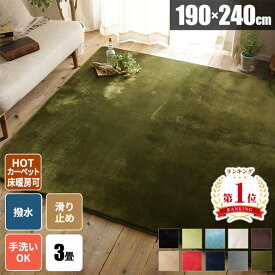 【今すぐ使える500円クーポン配布中】冬用ラグ ラグ 3畳 洗える 北欧 三畳 低反発 低反発ラグ おしゃれ ホットカーペット対応 ラグ三畳 ラグマット 毛足が短い 滑り止め付き 絨毯 プレイマット オールシーズン じゅうたん フランネル ラグ3畳 190×240