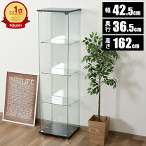 楽天市場】コレクションケース 縦型の通販