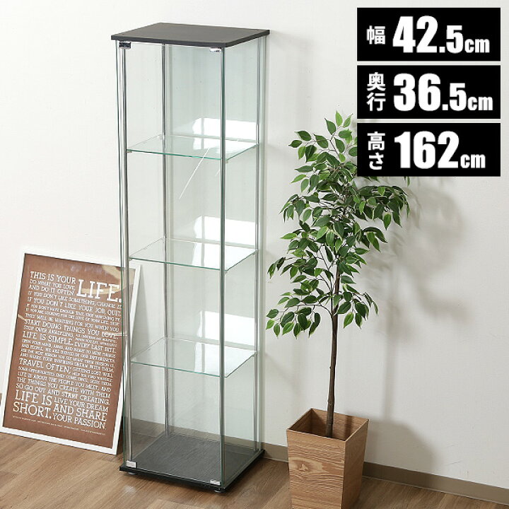 楽天市場】コレクションラック 全面ガラス 棚 収納 コレクションボード  