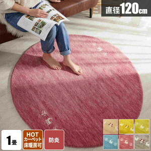 yőSz^_I12/5œIm21zO ~`O ~pO Mbx O}bg  VRf ~`  ChO O~ OJ[ybg イ Mx 120cm rO D