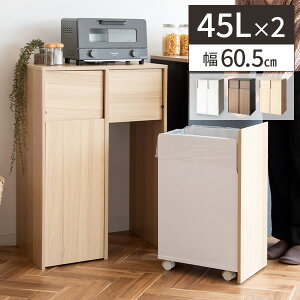 ygN[|zzzS~ 45bg  45l Lb` ݔ  k  LX^[t _Xg{bNX IV rO ؐ e c^ 2 zCg 䏊 60cm 