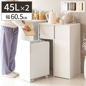 ygN[|zzzS~ 45bg  45l Lb` ݔ  k  LX^[t _Xg{bNX IV rO ؐ e c^ 2 zCg 䏊 60cm 