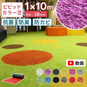 yr[Ttzy12Fz[^[t rrbh^[t lH 1m×10m [ lHŐ  Ő  ŏ28mm R Jt Ɩp  O  x_ ͂ hbN  