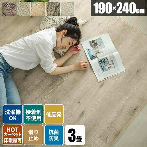 yg500~N[|zO O}bg 3 ᔽ  Ebh 􂦂  k ~p イ J[ybg O~ O ؖڒ 190×240 I[V[Y ` AeB[N ~p