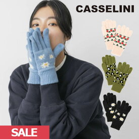 【SUMMER SALE50%OFF】【即納】 キャセリーニ casselini 通販 柄ニットグローブ 小物 手袋 グローブ 5本指 222-110217 ギフト