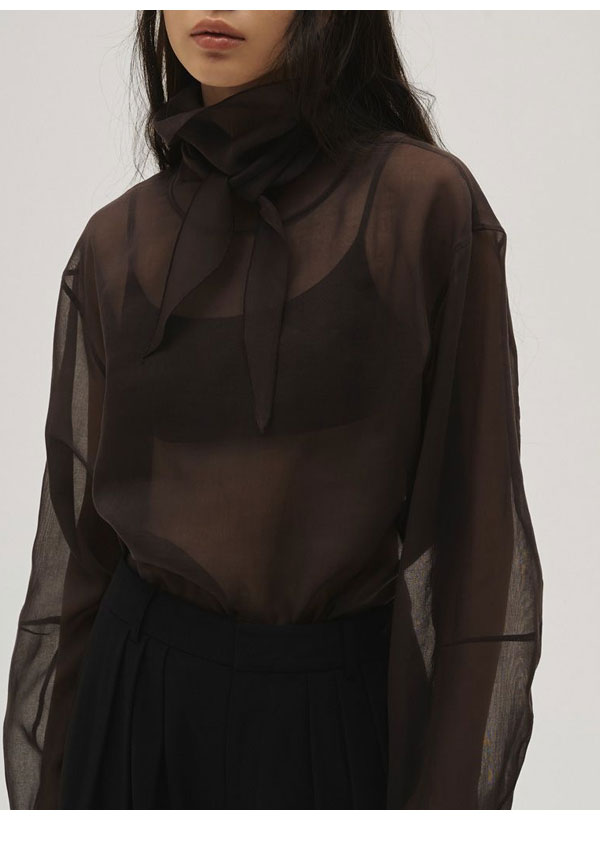 エントリーでポイント上乗せ 【即納】トゥデイフル TODAYFUL 2026springsummer トップス Sheer Tie Blouse シアータイブラウス 長袖 ミドル丈 12610415 26春夏 - メイン画像 4