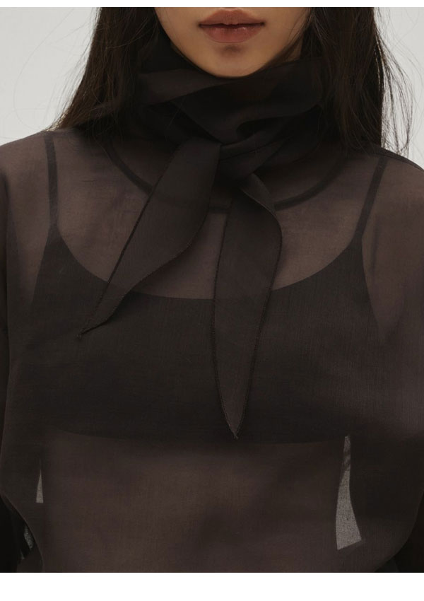 エントリーでポイント上乗せ 【即納】トゥデイフル TODAYFUL 2026springsummer トップス Sheer Tie Blouse シアータイブラウス 長袖 ミドル丈 12610415 26春夏 - メイン画像 6