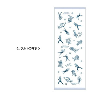 tFCX^I 30×80cm Ăʂ ^I EgX^[YRNV Eg} X^[Y ׂ K[[ Q K[[^I { Y B^I v[g a N