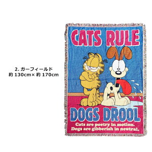 ^yXg[ 傫  CeA tW 120×170 130×170 JtHjA [Y AL AJ g IV BIGTCY Rbg Ǐ Ǌ| Ǒi EH[f