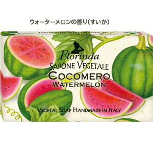 yP2{BbZvGg[ztOX\[v t_ FLORINDA  Ό  \[v t[c̍ ʕ v[g Mtg 蕨 v`v C^AAG p