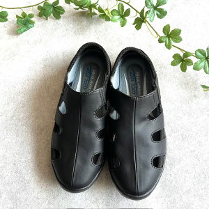 yӍՁ250~ItN[|zzzpW[ Pansy 4335 Xb| T_ Xj[J[ EH[LO@JWA T}[V[Y RtH[gV[Y y Xgb` 3E ɂȂ  J[