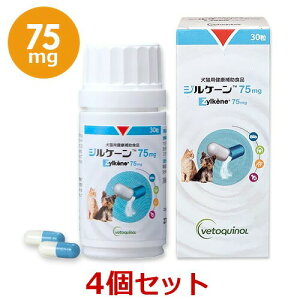 yԌzyyzy4ZbgzyWP[ 75mg (30)×4zyLzZylkene(WP[) (C)