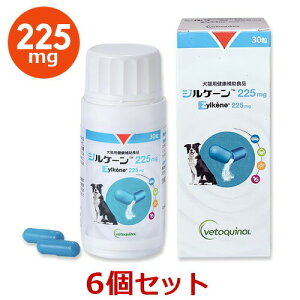 yyzy6ZbgzyWP[ 225mg (30)×6zyܖF2026.04.12zyLzZylkene(WP[) (C)