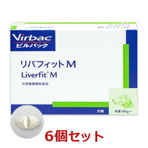 y6ZbgzyotBbgM 30×6zi10kgȏjyrobNWpzy̑z ()