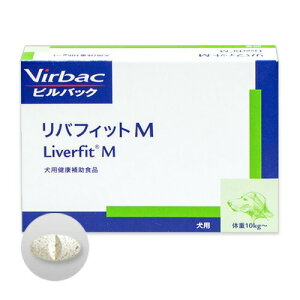 yotBbgM 30×1zi10kgȏjyrobNWpzy̑z (C5)