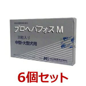 yyzy6ZbgzyvwptHXM 30 ×6zi^E^jyzy̑z (C)