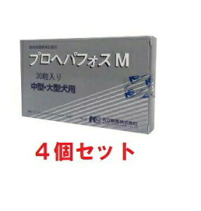 yyzy4ZbgzyvwptHXM 30 ×4zi^E^jyzy̑z (C)