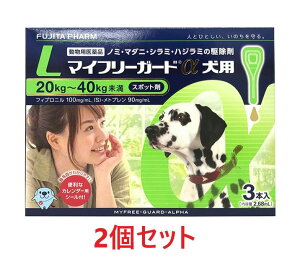 yyzy2Zbg (6{)zy}Ct[K[h pLi20`40kgj 3{ ×2zyv6{zypiz [m~E}_j쏜](}Ct[K[h p L) (C)