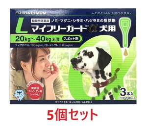 yyzy5Zbg (15{)zy}Ct[K[h pLi20`40kgj 3{ ×5zyv15{zypiz [m~E}_j쏜](}Ct[K[h p L) ()