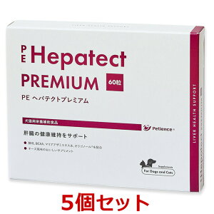 yԌzyyzy5ZbgzyPE wpeNgv~A (60) ×5zyLpzyQIXzy̑zwpeNg v~A (C)