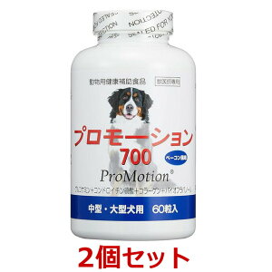 yyzy2Zbgzyv[V 700@60×2z^E^pyzy֐߁z ()