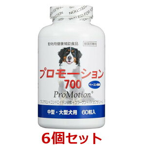 yyzy6Zbgzyv[V 700@60×6z^E^pyzy֐߁z ()