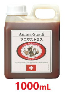 yAj}XgX Lbh 1000mL ×1{zyybgp TvzyƉuzy{r[Gtz()