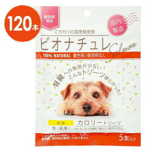 ypzy2ZbgzyrIi`  J[g[c p 1(5{)×12ܓ×2zytzyzyv120{z()