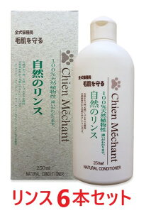 y6{ZbgzyVV R̃X 250mL ×6{zyLpzy畆zyVVz (C)