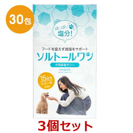 【最強配送】【3箱セット】【ソルトールワン (10g×30包入) ×3箱】【賞味期限：2028.03.31】【犬用排塩ゼリー】【日本全薬工業】【期間限定】(発)