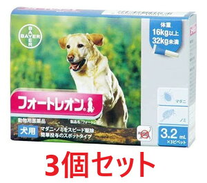 yԌzy3ZbgzytH[gI p 3.2mLi16`32kgj 3{×3zypiz [m~E}_j쏜](tH[gI3.2mL) (C)