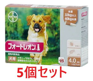 yԌzy5ZbgzytH[gI p 4.0mLi32`40kgj 3{×5zypiz [m~E}_j쏜](tH[gI4.0mL) (C)