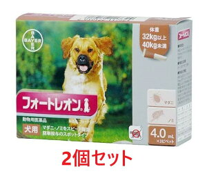 y2ZbgzytH[gI p 4.0mLi32`40kgj 3{×2zypiz [m~E}_j쏜](tH[gI4.0mL)* (C)