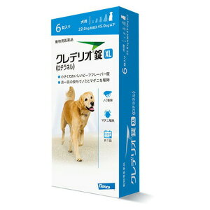 yNfI XL pi22kgȏ45kgj 6×1zypiz [m~E}_j쏜] (C)