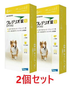 yyzy2ZbgzyNfI S pi1.5kgȏ2.5kgj 6×2zypiz [m~E}_j쏜] (C)