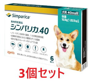 yԌzyyzy3ZbgzyVpJ 40 pi10.1kg ȏ 20.1kgj 6×3zygpF2027.08.31zypiz [m~E}_j쏜] (C)